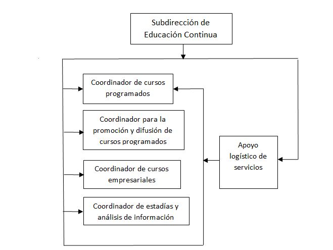 organigrama DEC
