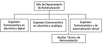 Estructura orgánica automatización