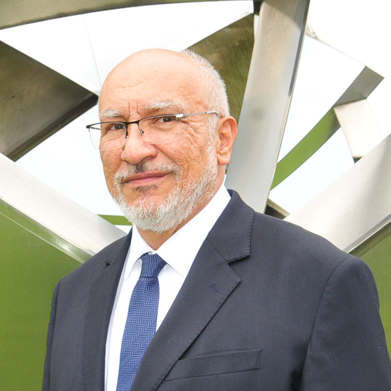 José Tendilla